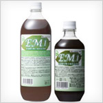 EM1
